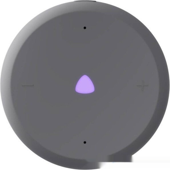 Умная колонка Яндекс Станция Лайт 2 без часов Графит, YNDX-00028GRY