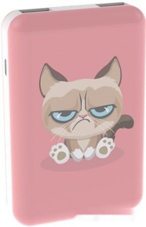 Портативное зарядное устройство Ritmix RPB-10007 Сердитый кот