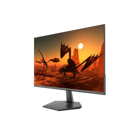 Монитор 23.8" Nexa Gaming NG2420HD