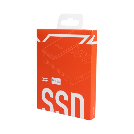 Диск SSD M.2 PCI-E 256GB XG XGM256-R