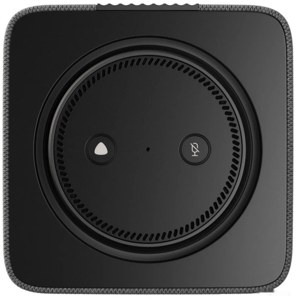 Умная колонка Яндекс Станция Макс с Zigbee Графит, YNDX-00053/Graphite