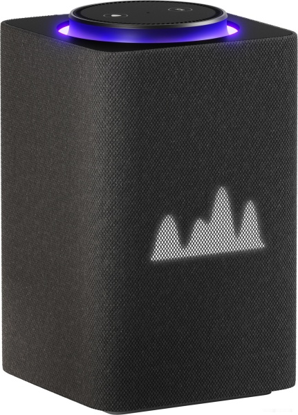 Умная колонка Яндекс Станция Макс с Zigbee Графит, YNDX-00053/Graphite