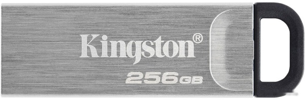 USB Flash drive 256GB Kingston DTKN/256GB