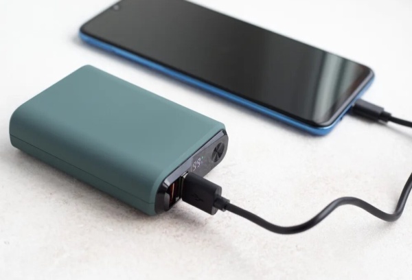 Портативное зарядное устройство Olmio QS-10 10000mAh, мурена