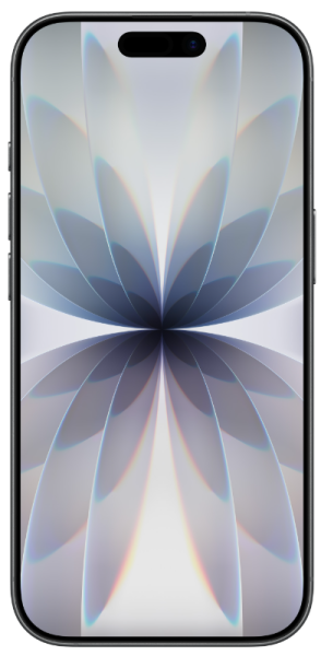 Смартфон Apple iPhone 17 256GB Black A3520 MG6J4HX/A