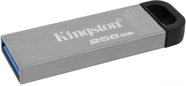 USB Flash drive 256GB Kingston DTKN/256GB