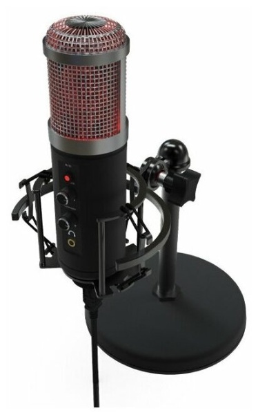 Микрофон Ritmix RDM-260 USB Eloquence