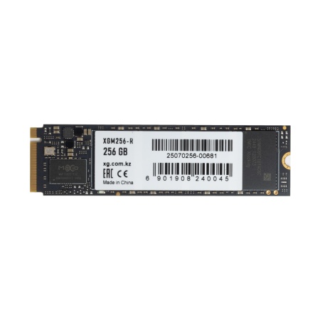Диск SSD M.2 PCI-E 256GB XG XGM256-R