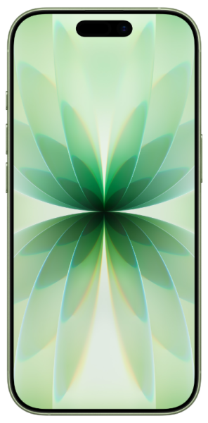 Смартфон Apple iPhone 17 256GB Sage A3520 MG6N4HX/A