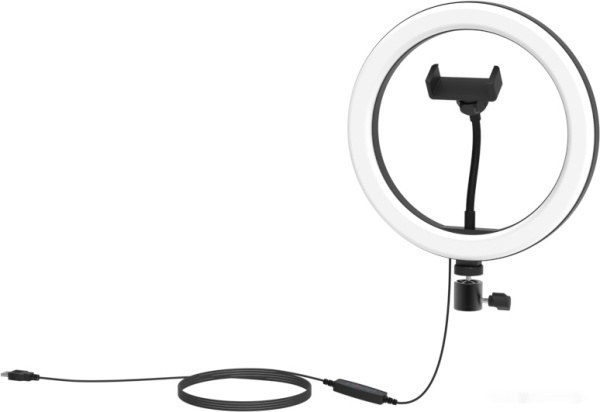 Кольцевая лампа Ritmix RRL-261