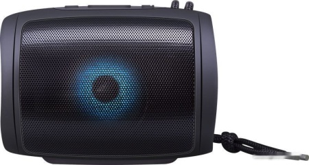 Колонка портативная Defender Enjoy S200 Black, 65200