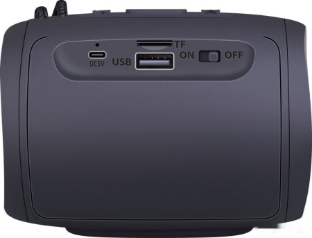 Колонка портативная Defender Enjoy S200 Black, 65200
