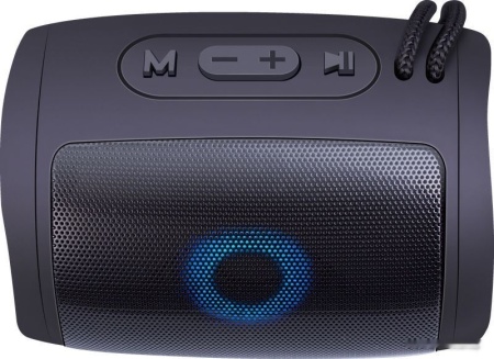 Колонка портативная Defender Enjoy S200 Black, 65200