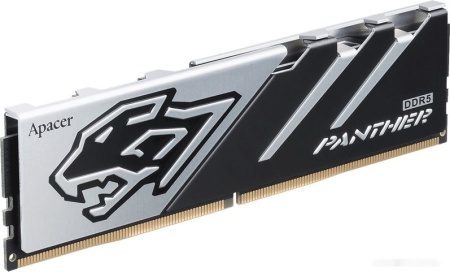 Оперативная память DDR5 6000/16Gb Apacer Panther, AH5U16G60C6227BAA-1