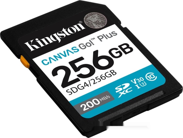 Карта памяти SD 256GB Kingston Canvas Go Plus SDG4/256GB