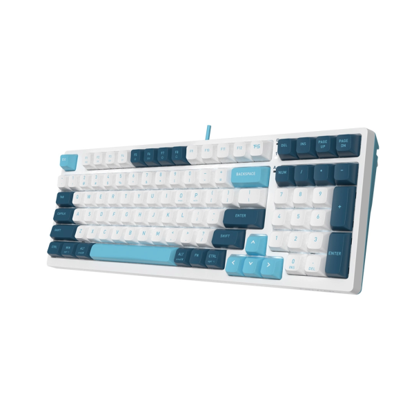 Клавиатура A4tech Fstyler FS300 Panda Snowboarding 