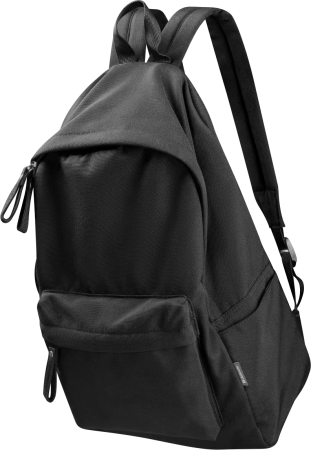 Рюкзак для ноутбука Defender Lifestyler 15.6", черный, 26240